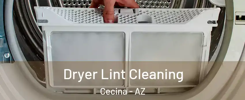 Dryer Lint Cleaning Cecina - AZ