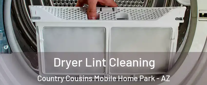 Dryer Lint Cleaning Country Cousins Mobile Home Park - AZ