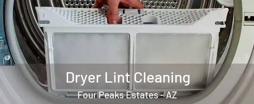 Dryer Lint Cleaning Four Peaks Estates - AZ