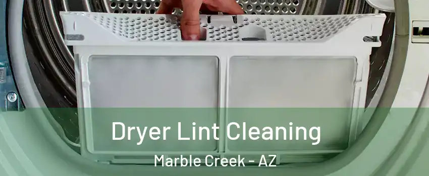 Dryer Lint Cleaning Marble Creek - AZ