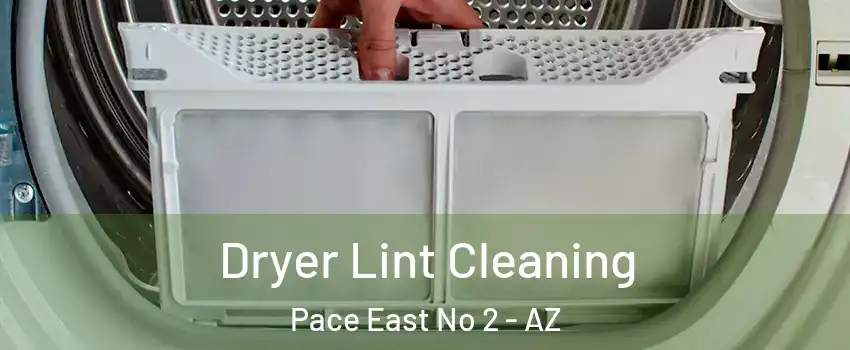 Dryer Lint Cleaning Pace East No 2 - AZ