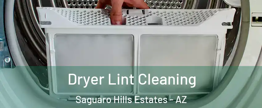 Dryer Lint Cleaning Saguaro Hills Estates - AZ