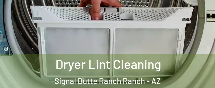 Dryer Lint Cleaning Signal Butte Ranch Ranch - AZ