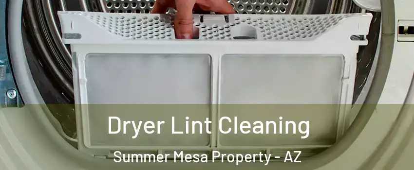 Dryer Lint Cleaning Summer Mesa Property - AZ