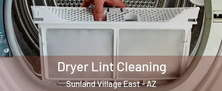 Dryer Lint Cleaning Sunland Village East - AZ