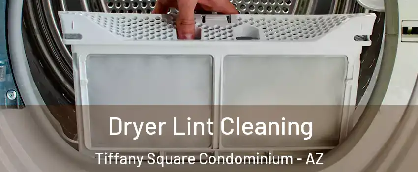 Dryer Lint Cleaning Tiffany Square Condominium - AZ