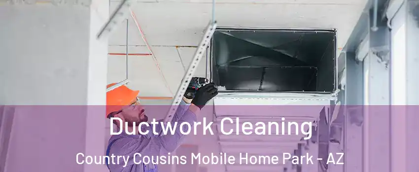 Ductwork Cleaning Country Cousins Mobile Home Park - AZ