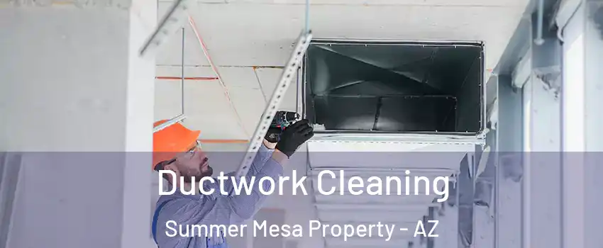 Ductwork Cleaning Summer Mesa Property - AZ