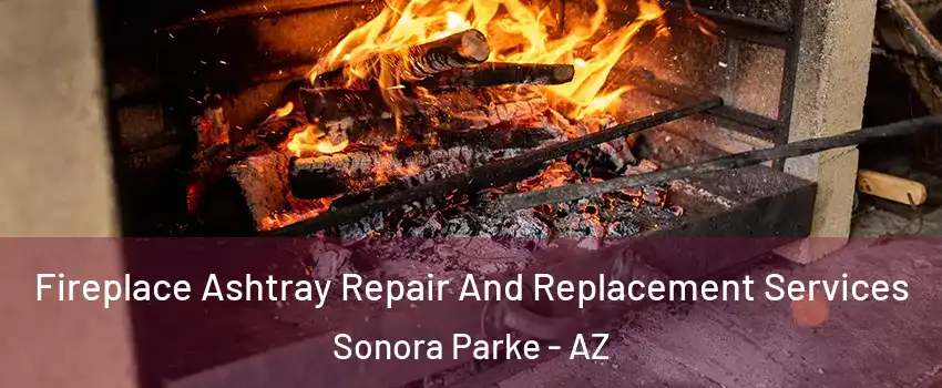 Fireplace Ashtray Repair And Replacement Services Sonora Parke - AZ