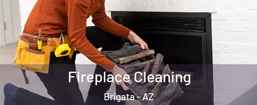 Fireplace Cleaning Brigata - AZ