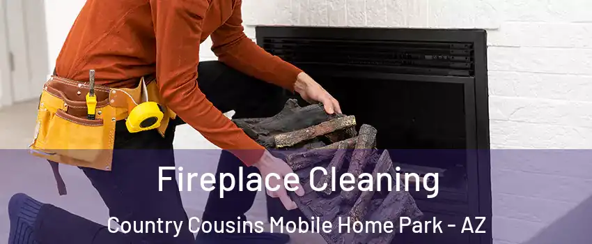 Fireplace Cleaning Country Cousins Mobile Home Park - AZ