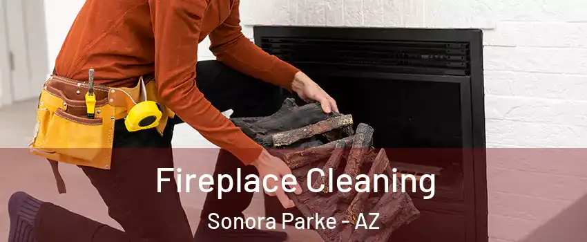 Fireplace Cleaning Sonora Parke - AZ