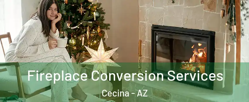 Fireplace Conversion Services Cecina - AZ