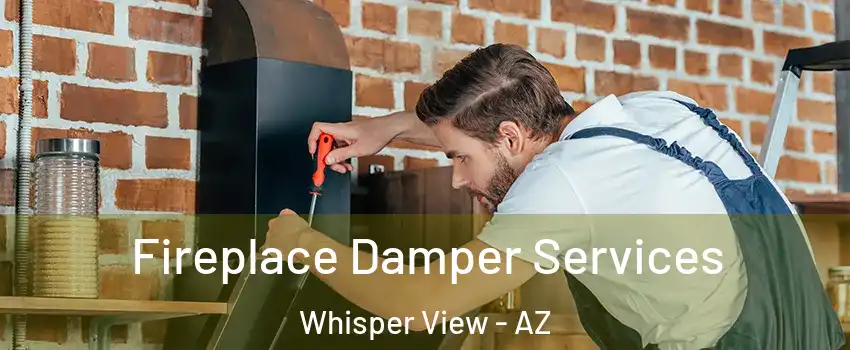 Fireplace Damper Services Whisper View - AZ