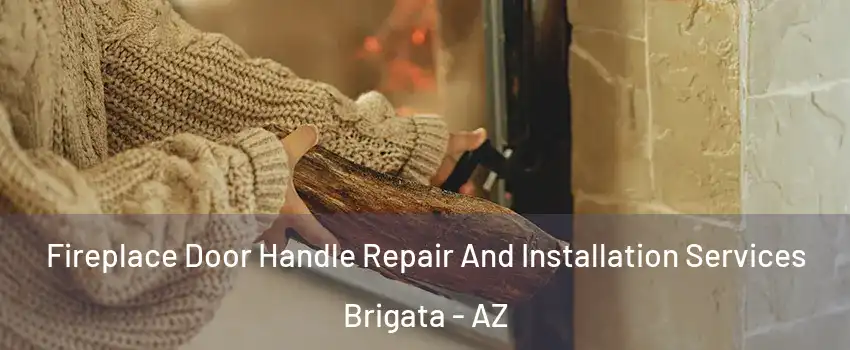 Fireplace Door Handle Repair And Installation Services Brigata - AZ