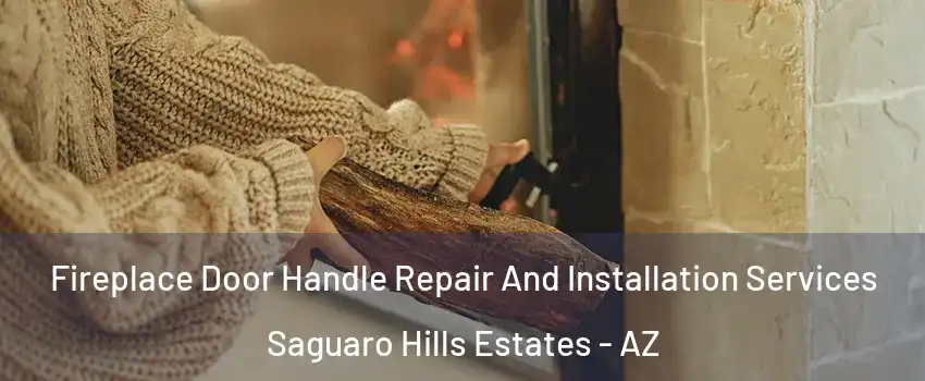 Fireplace Door Handle Repair And Installation Services Saguaro Hills Estates - AZ