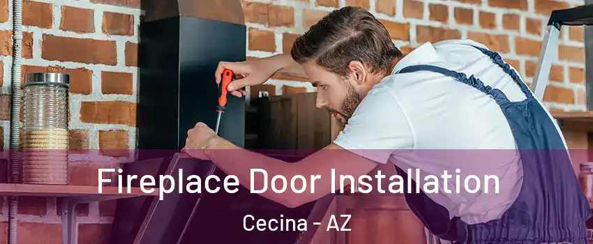 Fireplace Door Installation Cecina - AZ