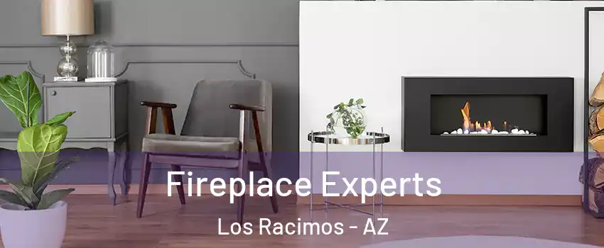 Fireplace Experts Los Racimos - AZ