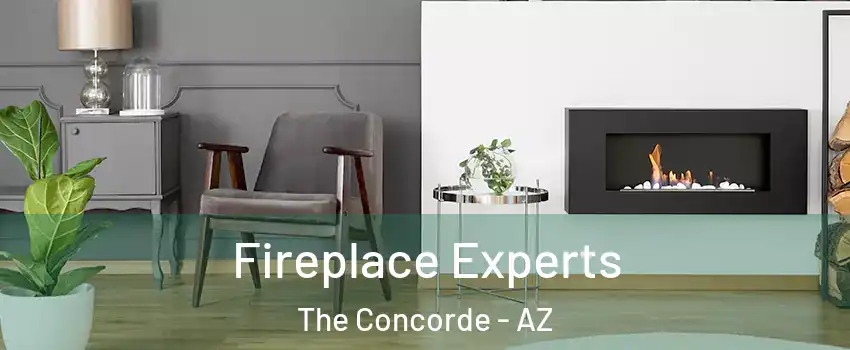 Fireplace Experts The Concorde - AZ