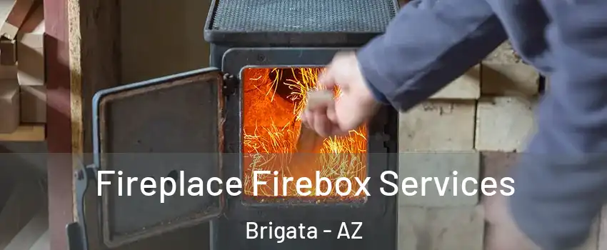 Fireplace Firebox Services Brigata - AZ