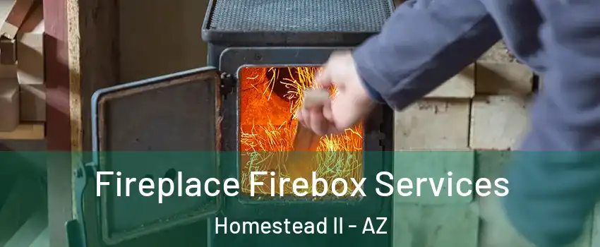 Fireplace Firebox Services Homestead II - AZ