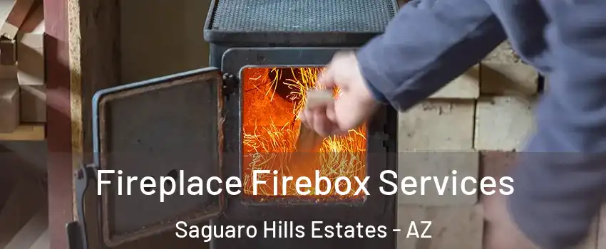 Fireplace Firebox Services Saguaro Hills Estates - AZ