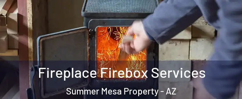 Fireplace Firebox Services Summer Mesa Property - AZ