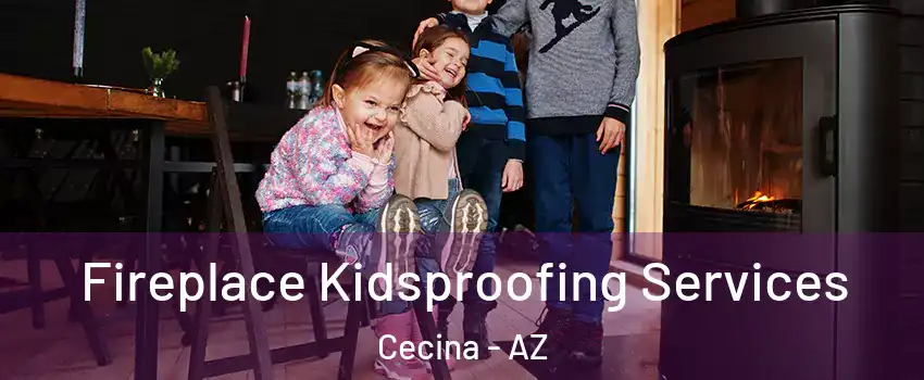 Fireplace Kidsproofing Services Cecina - AZ