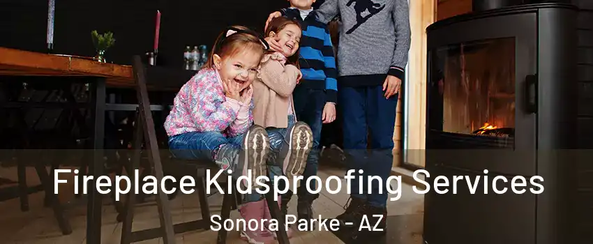 Fireplace Kidsproofing Services Sonora Parke - AZ