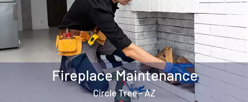 Fireplace Maintenance Circle Tree - AZ