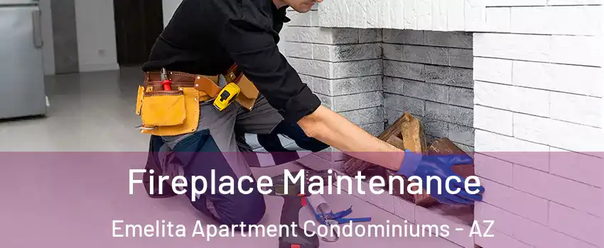 Fireplace Maintenance Emelita Apartment Condominiums - AZ