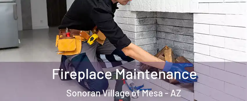 Fireplace Maintenance Sonoran Village of Mesa - AZ