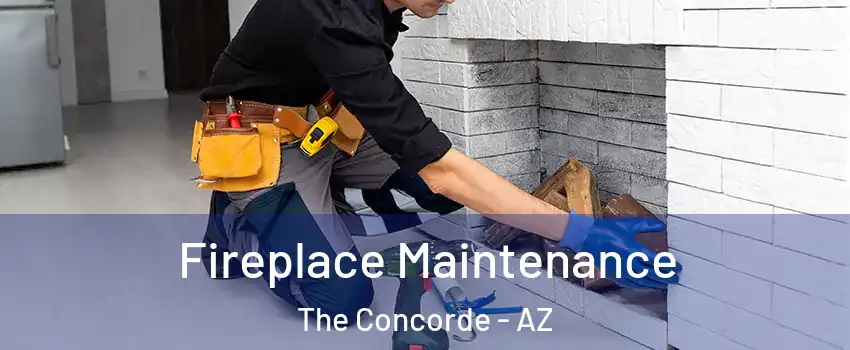 Fireplace Maintenance The Concorde - AZ