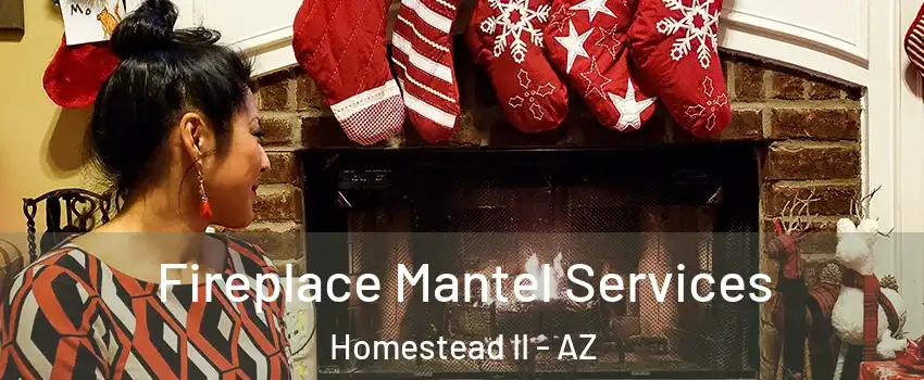 Fireplace Mantel Services Homestead II - AZ