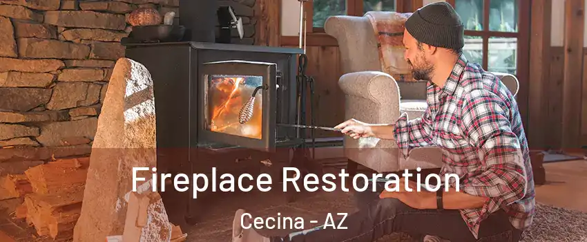 Fireplace Restoration Cecina - AZ