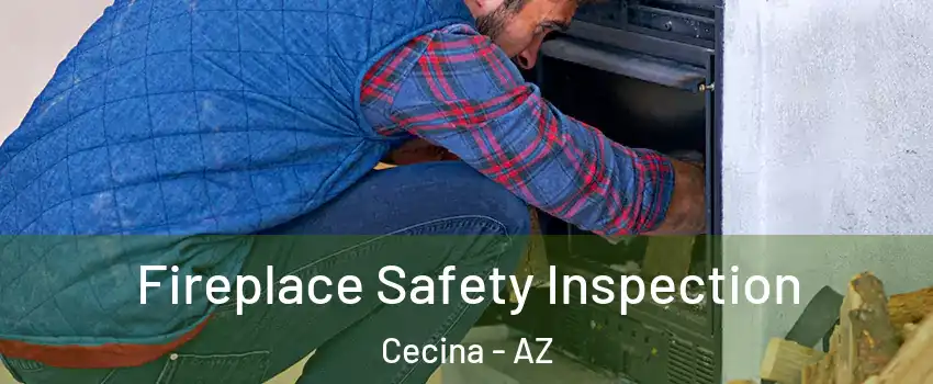 Fireplace Safety Inspection Cecina - AZ