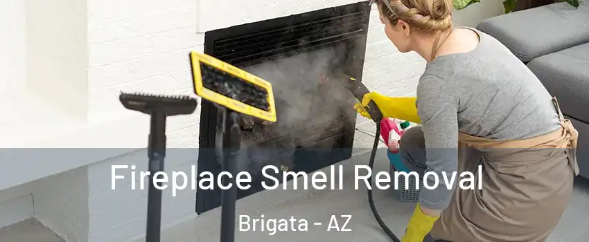 Fireplace Smell Removal Brigata - AZ