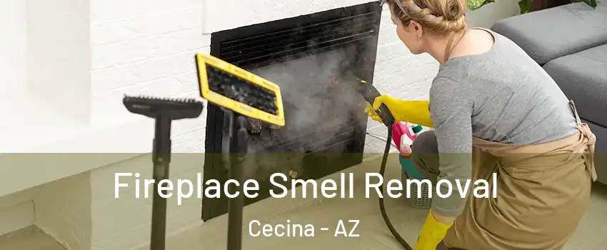 Fireplace Smell Removal Cecina - AZ