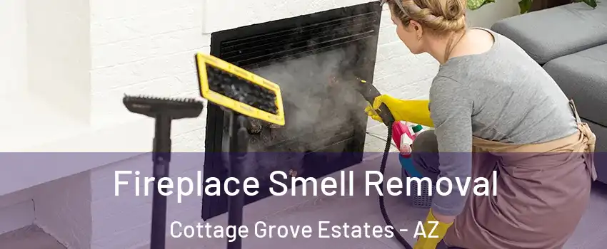 Fireplace Smell Removal Cottage Grove Estates - AZ