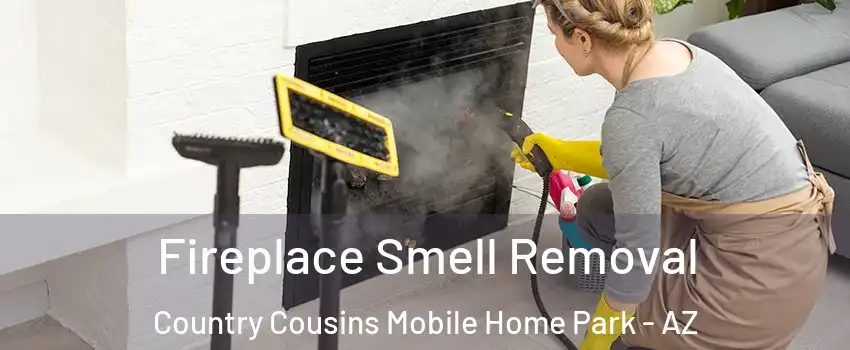 Fireplace Smell Removal Country Cousins Mobile Home Park - AZ