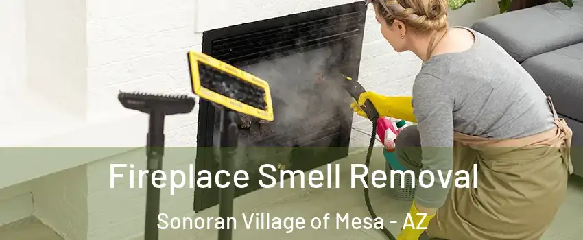 Fireplace Smell Removal Sonoran Village of Mesa - AZ