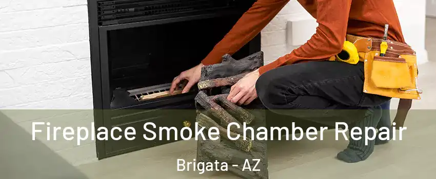 Fireplace Smoke Chamber Repair Brigata - AZ