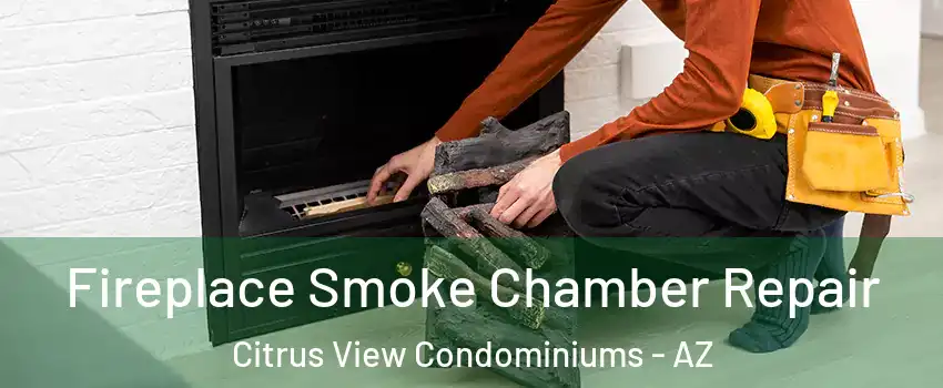 Fireplace Smoke Chamber Repair Citrus View Condominiums - AZ