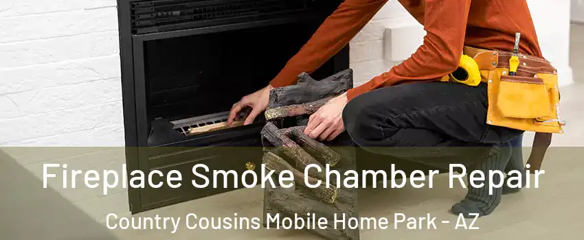 Fireplace Smoke Chamber Repair Country Cousins Mobile Home Park - AZ