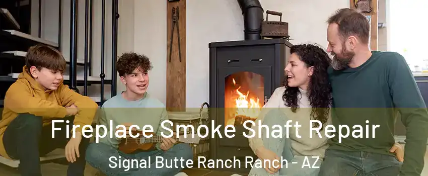 Fireplace Smoke Shaft Repair Signal Butte Ranch Ranch - AZ