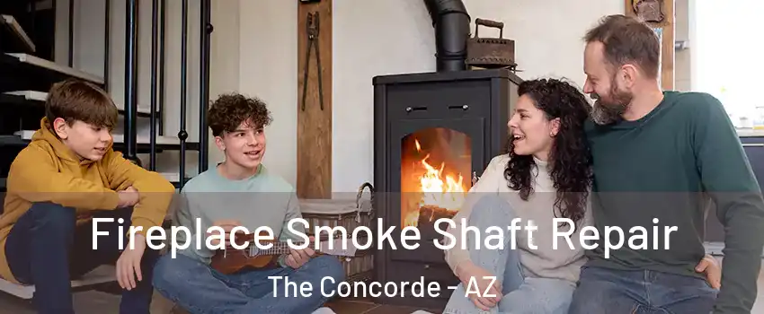 Fireplace Smoke Shaft Repair The Concorde - AZ