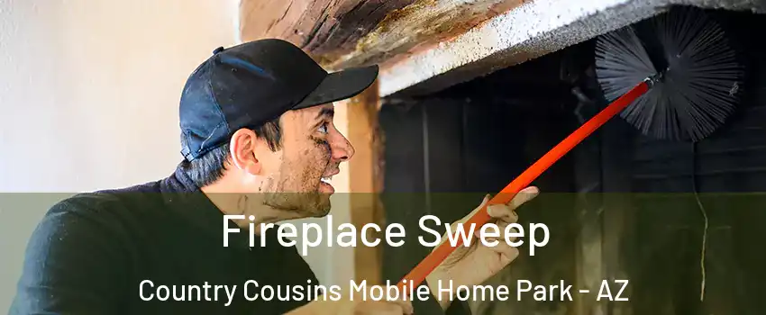 Fireplace Sweep Country Cousins Mobile Home Park - AZ