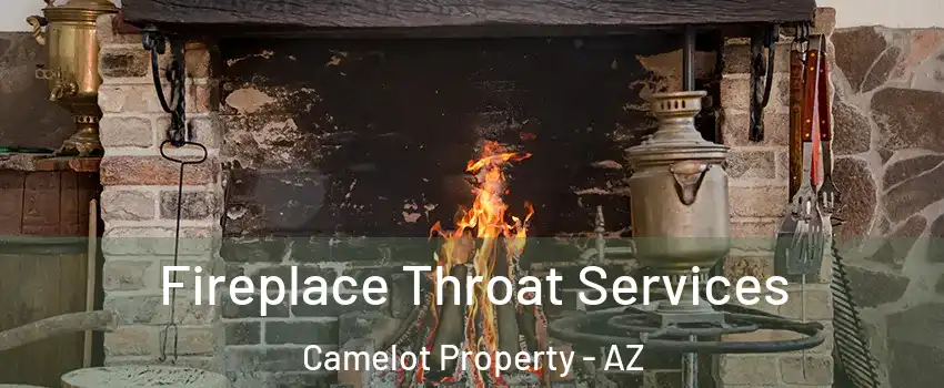 Fireplace Throat Services Camelot Property - AZ