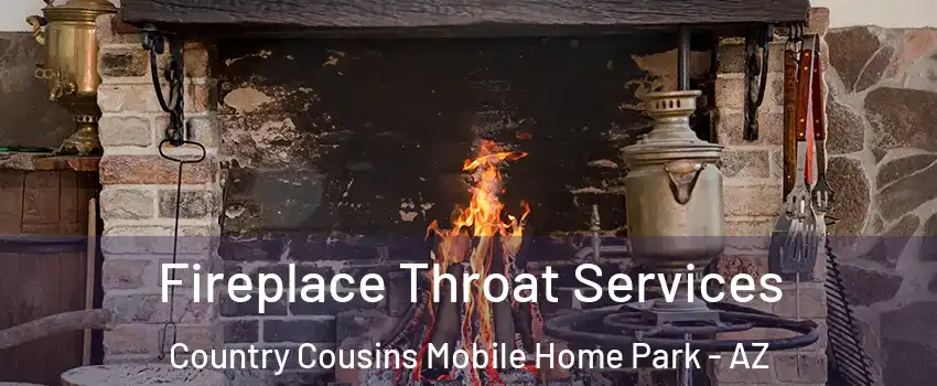 Fireplace Throat Services Country Cousins Mobile Home Park - AZ