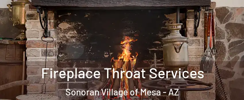 Fireplace Throat Services Sonoran Village of Mesa - AZ